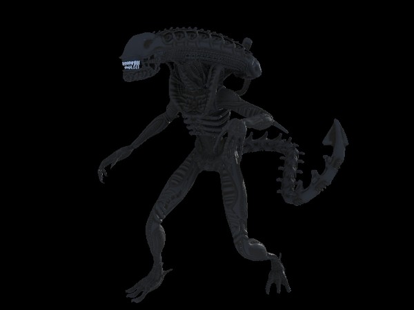 alien warrior 3d model - Alien Warrior by Andrew Alonso